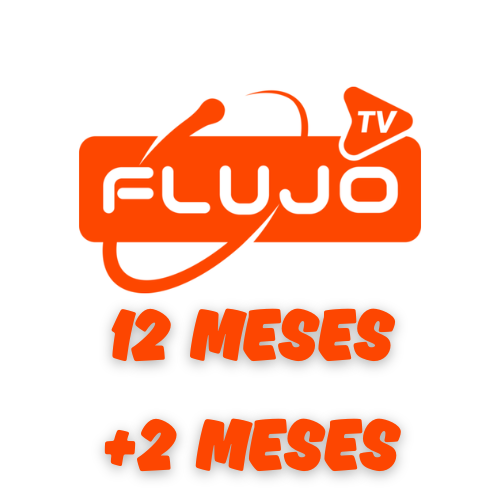 12 meses
